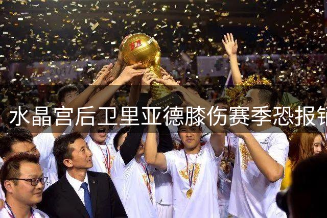水晶宫后卫里亚德膝伤赛季恐报销 俱乐部引援策略不受影响